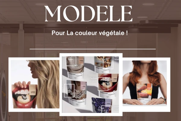 Recherche modèles